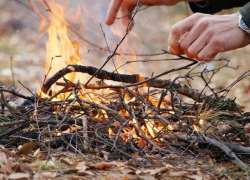 Особый противопожарный режим ввели в Воронежской области
