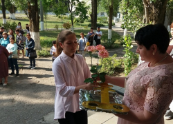 В Борисоглебском городском округе стартовал новый учебный год