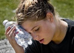 Как борисоглебцам пережить июльскую жару?