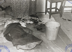 Преступление из прошлого в Новохоперском районе следователи распутали спустя 25 лет   