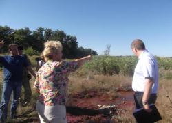 Активисты ООД «Стоп, никель!» разочарованы итогами визита комиссии Росприроднадзора 