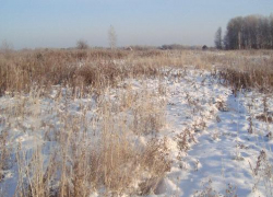 На Грибановский сахарный завод наложили штраф в 400 000 рублей