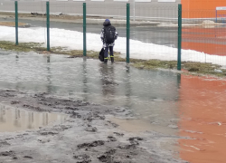 Интересные  ответы из облправительства и прокуратуры  по поводу новой школы в Борисоглебске