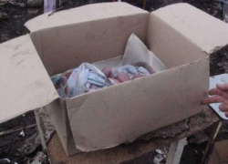 Ненужные дети. Почему матери избавляются от новорождённых