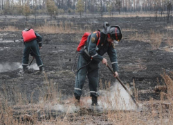 Спасатели потушили все крупные пожары в Воронежской области