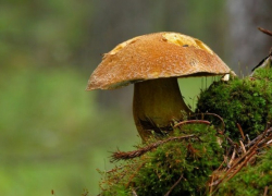 Как не стать жертвой «тихой охоты»