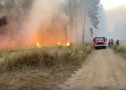 Взрывной рост пожарной опасности зафиксировали в Воронежской области