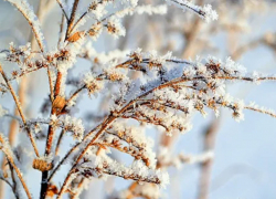 Первый день зимы: в Воронежской области -  ледостав,  ночные морозы и отсутствие снега 