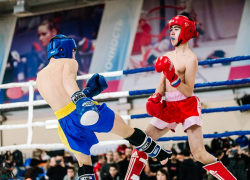 Кикбоксеры Борисоглебска успешно выступили на Первенстве ЦФО