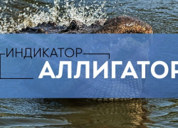 Где почерпнуть знания для успешной работы на Форекс?