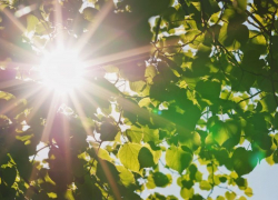 В Борисоглебске к концу недели ожидается резкое потепление