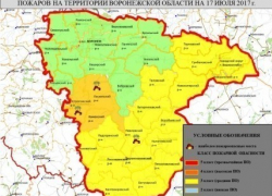Воронежские спасатели предупредили о высокой степени пожарной опасности