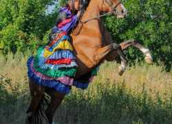 Борисоглебцев приглашают на костюмированные соревнования в конно-спортивную школу