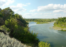 Наглых отдыхающих из Москвы  разогнали сотрудники лесничества на слиянии Хопра и Савалы