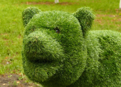 Зеленому медведю в центре Борисоглебска оторвали хвост