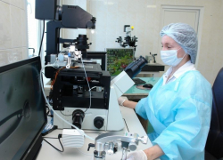 В Воронежской области через искусственное оплодотворение за полгода родилось 172 малыша