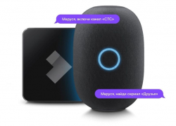 В Воронежской области «Ростелеком» запустил в продажу умную колонку