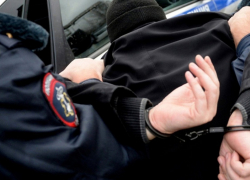 Борисоглебца будут судить за нападение на полицейского в бильярдном клубе