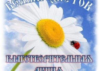В Борисоглебске стартовала благотворительная акция «Белый цветок» 