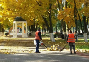 Борисоглебск присоединится к общеобластному субботнику