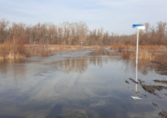 Мост через Хопёр ушел под воду в Борисоглебском округе