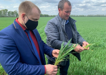 Павел Чибисов посетил хозяйства Терновского района