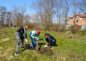Студенты Борисоглебска посадили "деревья Победы"