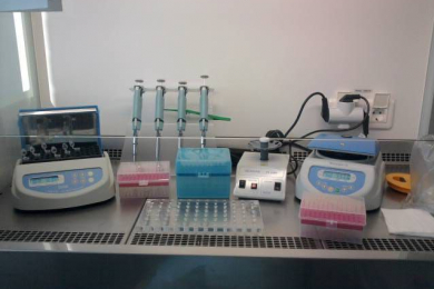 Клинико-диагностическая лаборатория «ТАИС+ МЕД»