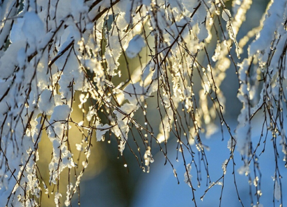Когда в Воронежскую область придет настоящая весна, рассказали синоптики