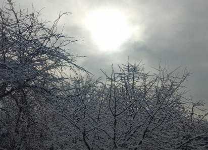 Суровый февраль пообещали жителям Воронежской области синоптики