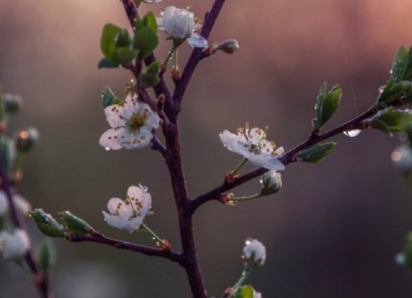 Апрель в Воронежской области будет теплее обычного