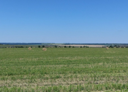 Жара до +34 градусов возвращается в Борисоглебск