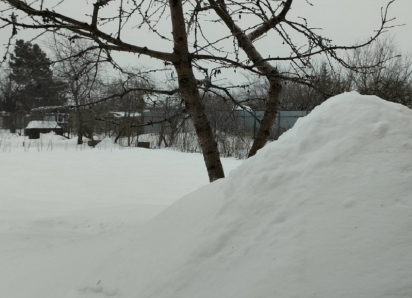 В Борисоглебском округе выпало самое большое количество снега среди районов региона
