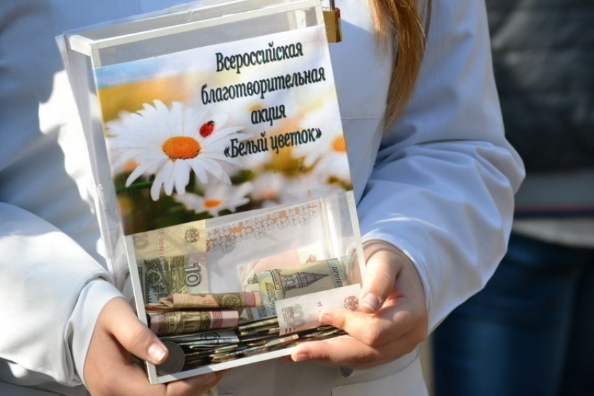 Полмиллиона рублей передали в копилку  акции «Белый цветок» жители Борисоглебска