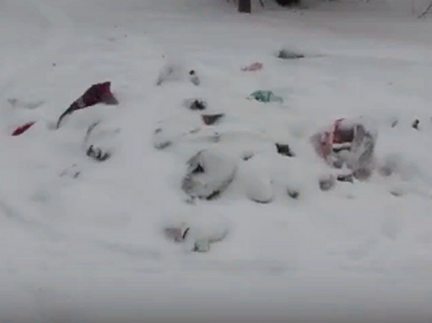 О куче мусора, живущей возле Борисоглебской школы, рассказал наш мобильный корреспондент