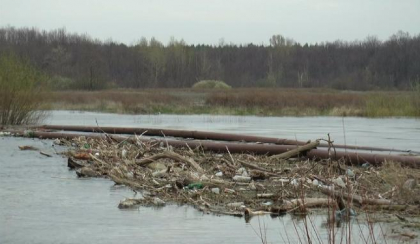 Пик подъема воды в реках Борисоглебского района ожидается  к середине апреля