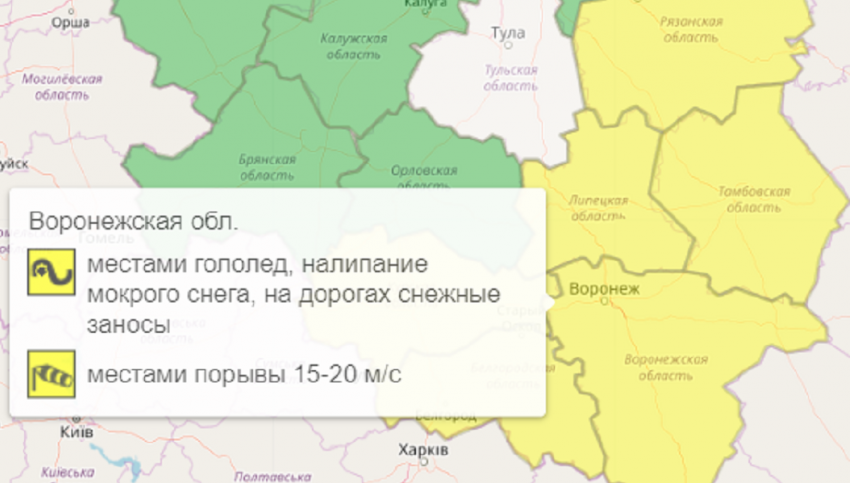Желтый уровень опасности снова объявили в Воронежской области из-за снежных заносов и сильного ветра