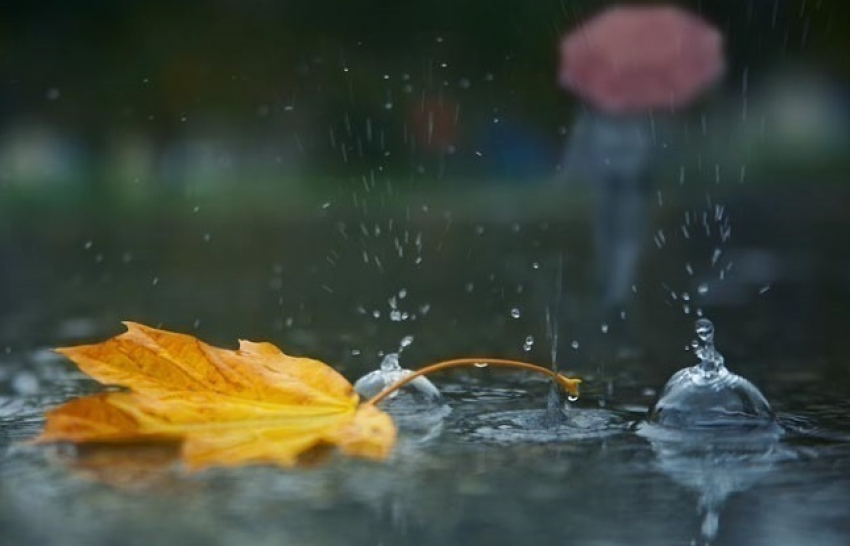 В Борисоглебске на 1 сентября обещают дождь