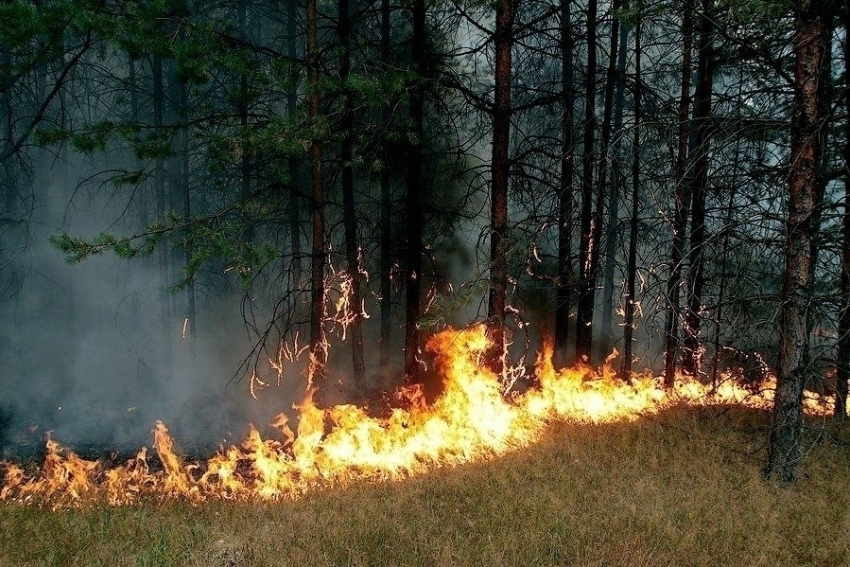 В Борисоглебске объявлен максимальный класс пожарной опасности