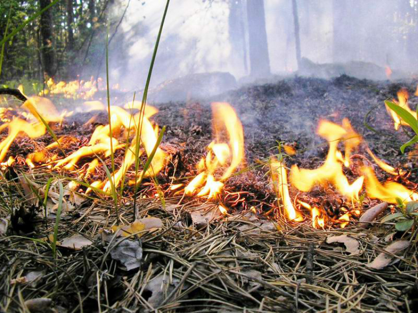 В Борисоглебске прогнозируется  максимальный класс пожарной опасности