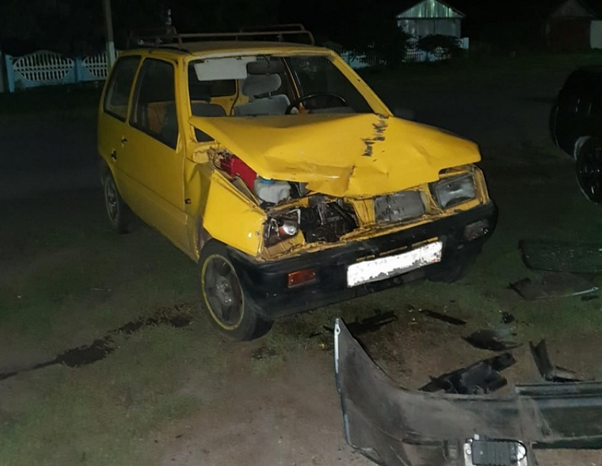 Два человека пострадали в ДТП на сельской дороге в Грибановском районе