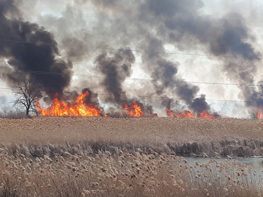 Начало сезона ландшафтных пожаров в Новохоперском районе сфотографировали местные жители