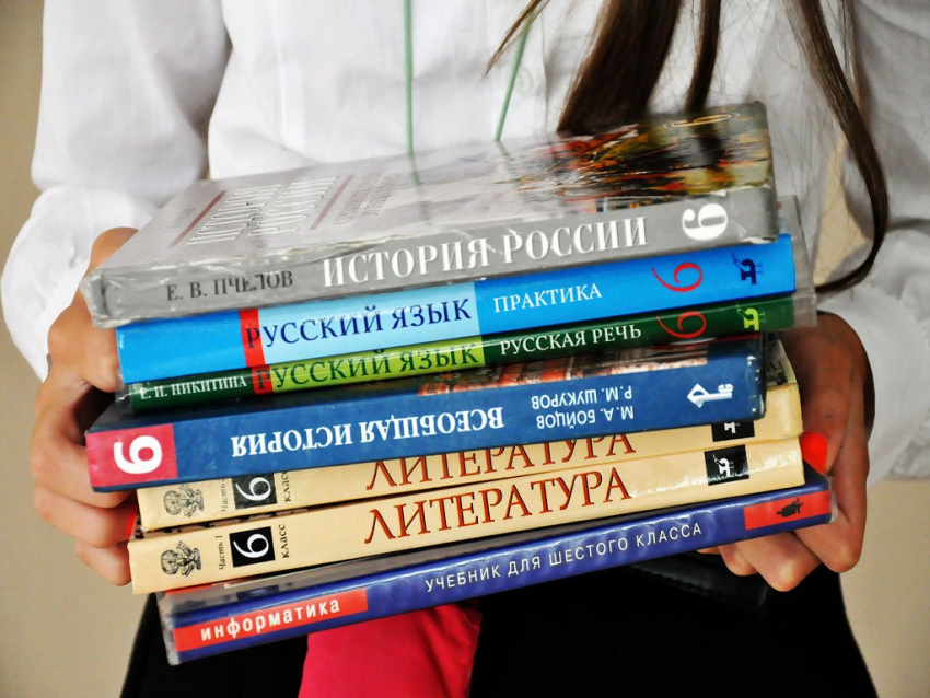 На нехватку учебников в школе правительству области пожаловался житель Борисоглебска
