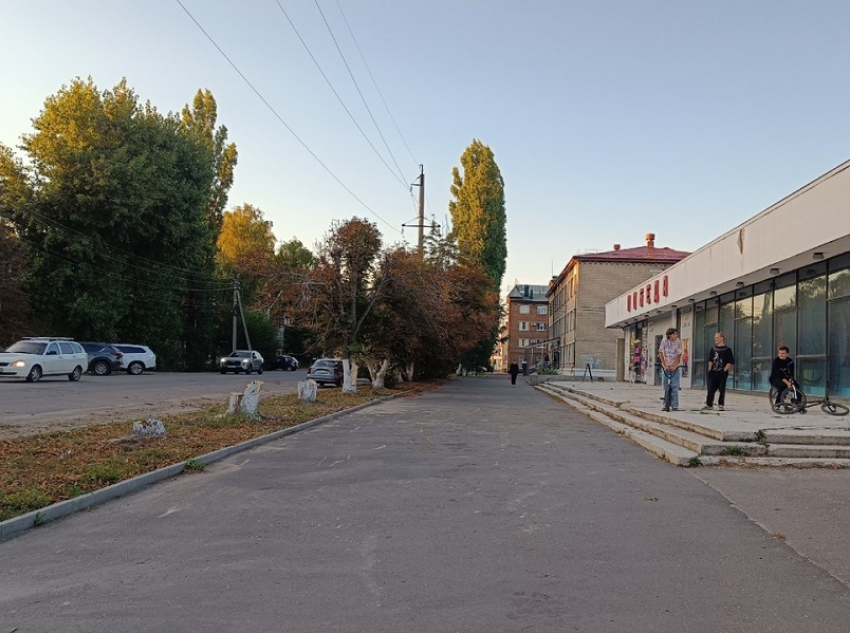 Почему спилили каштаны у кинотеатра «Победа» в Борисоглебске