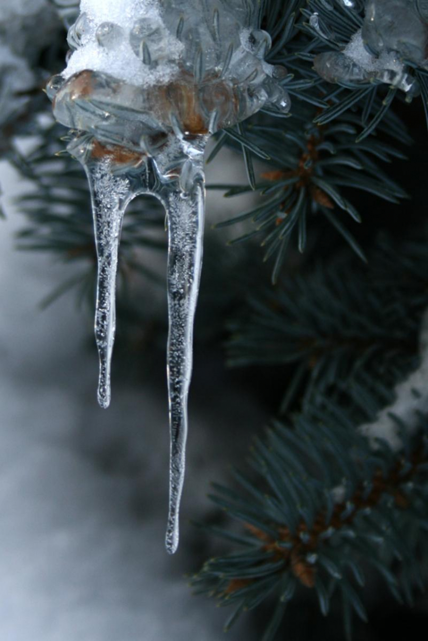  «Ледяное» Рождество обещают синоптики жителям  Воронежской области