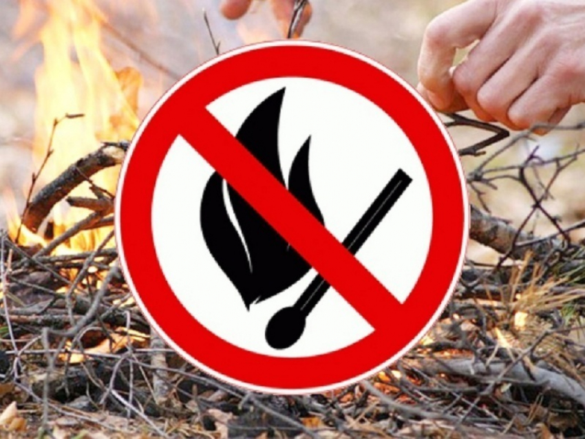 В последний день апреля в Воронежской области начал действовать особый противопожарный режим