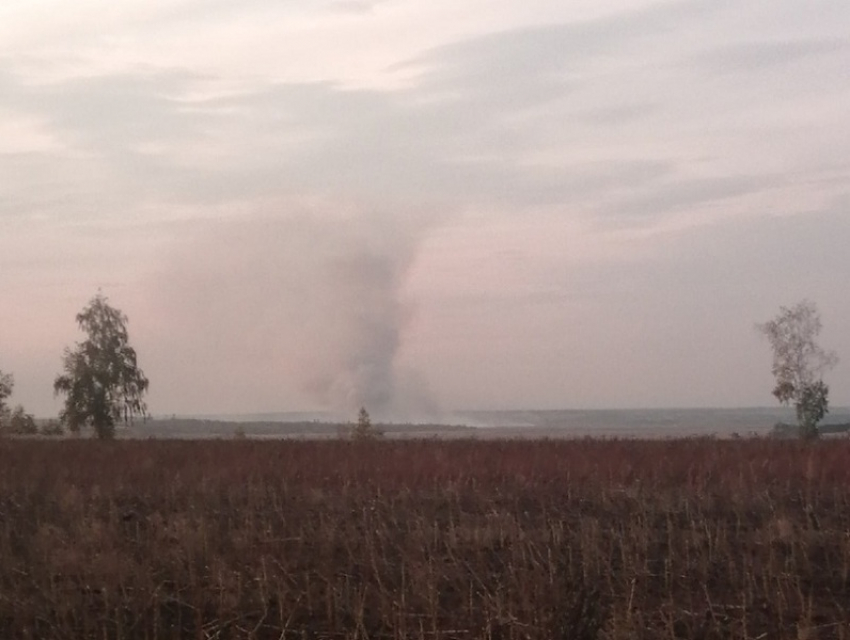 В Новохоперском районе пожарные продолжают бороться с огнем