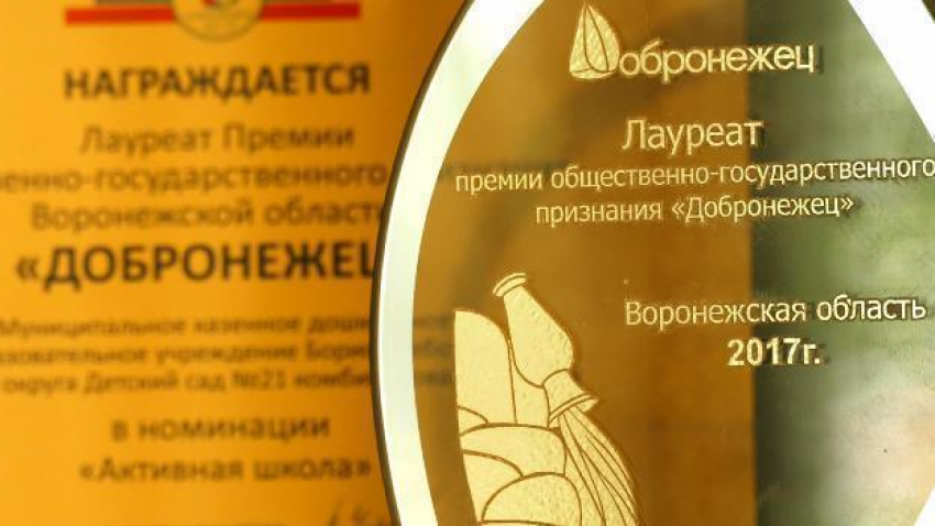 Детский сад № 21 г. Борисоглебска стал лауреатом премии «Добронежец»