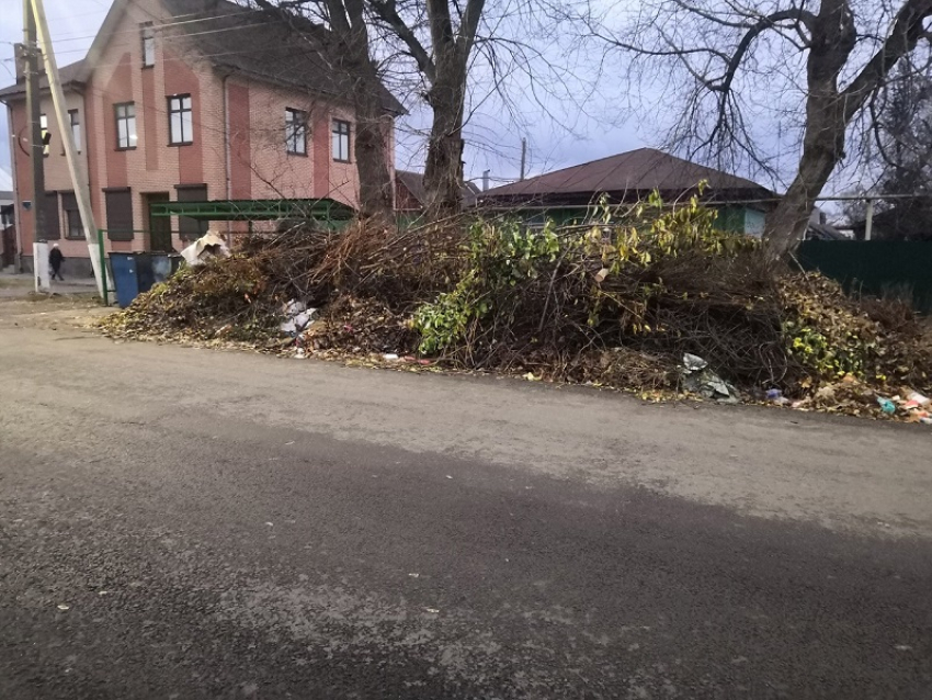 Сроки вывоза мусора в Борисоглебске подошли к концу, а администрация, как обычно – «не при чем»