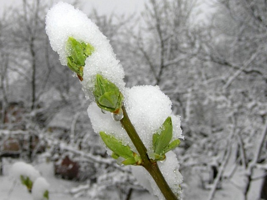 На выходных борисоглебцев и их соседей ожидает похолодание и снегопад